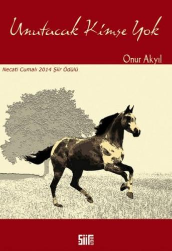 Unutacak Kimse Yok  Frontansicht 1