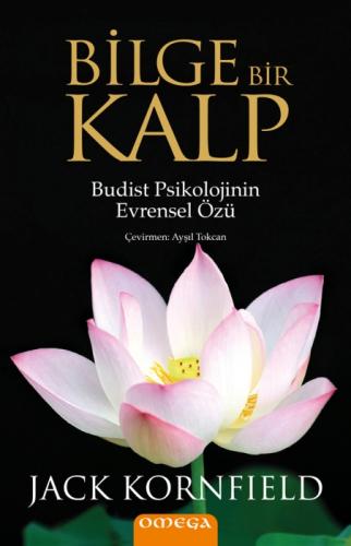 Bilge Bir Kalp  Frontansicht 1