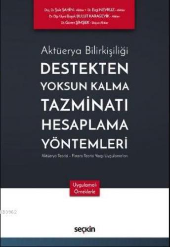 Aktüerya Bilirkişiliği ¦ Destekten Yoksun Kalma Tazminatı Hesaplama Yöntemleri  Frontansicht 1