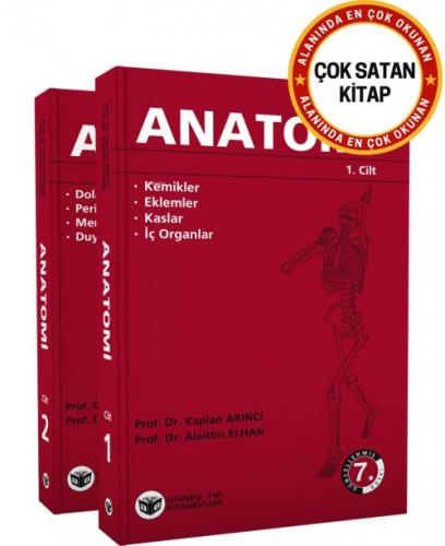 Arıncı - Anatomi 1-2  Frontansicht 1