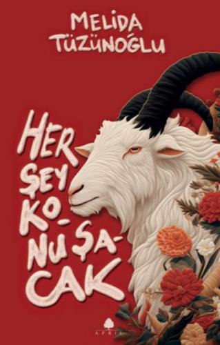 Her Þey Konuþacak  Frontansicht 1