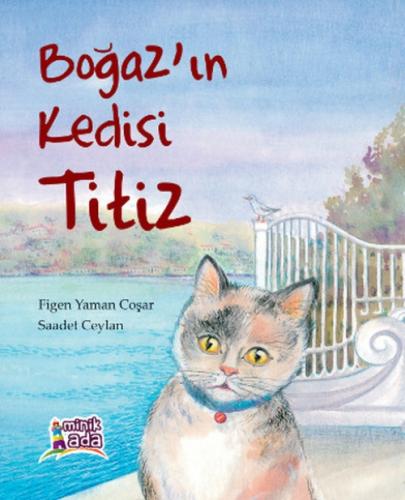 Boğaz'ın Kedisi Titiz  Frontansicht 1