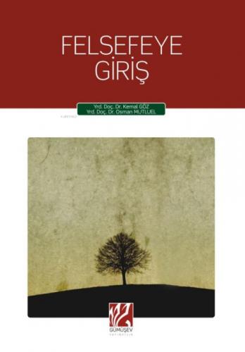 Felsefeye Giriş  Frontansicht 1