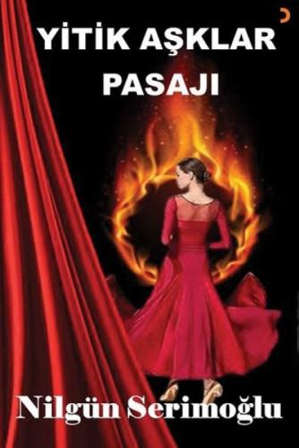 Yitik Aþklar Pasajı  Frontansicht 1