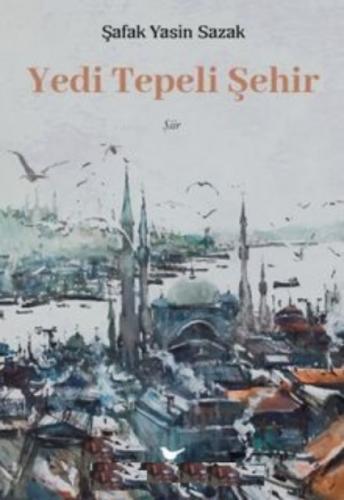 Yedi Tepeli Şehir  Frontansicht 1