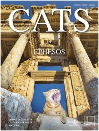 Cats Of Ephesos  Frontansicht 1