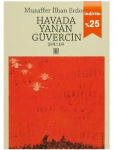 Havada Yanan Güvercin  Frontansicht 1