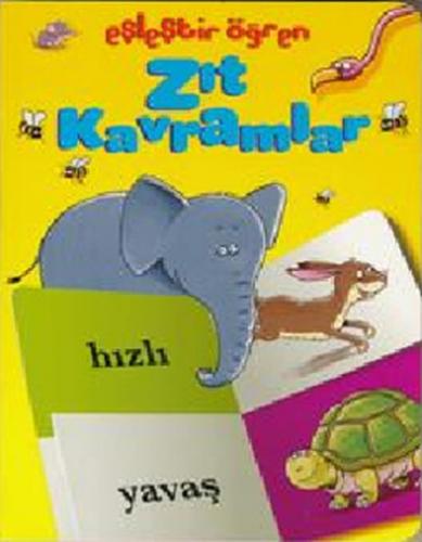 Zıt Kavramlar  Frontansicht 1