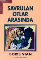 Savrulan Otlar Arasında  Frontansicht 1