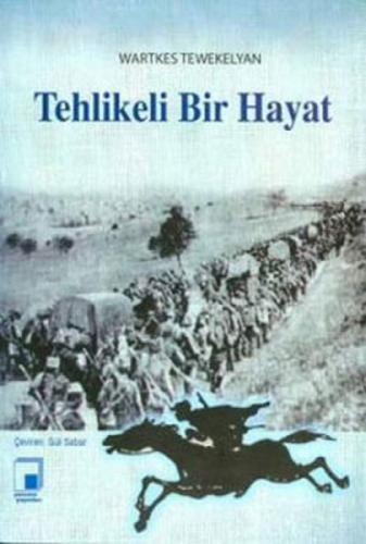 Tehlikeli Bir Hayat  Frontansicht 1