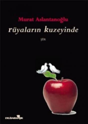 Rüyaların Kuzeyinde  Frontansicht 1