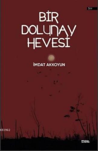 Bir Dolunay Hevesi  Frontansicht 1