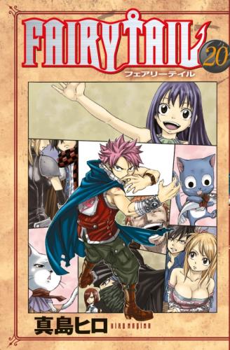 Fairy Tail 20. Cilt  Frontansicht 1