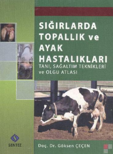 Sığırlarda Topallık ve Ayak Hastalıkları  Frontansicht 1