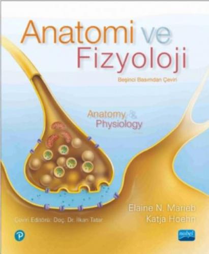 Anatomi Ve Fizyoloji - Anatomy & Physiology  Frontansicht 1