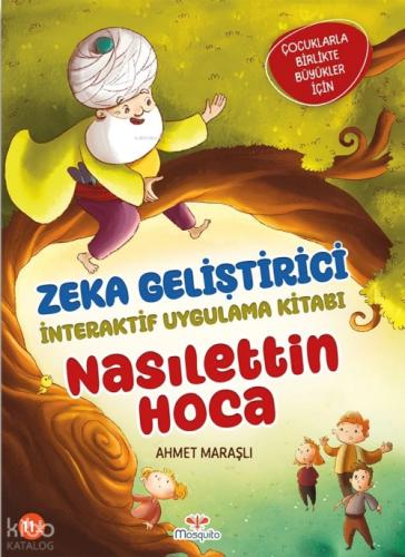 Nasılettin Hoca  Frontansicht 1