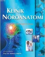 Klinik Nöroanatomi  Frontansicht 1