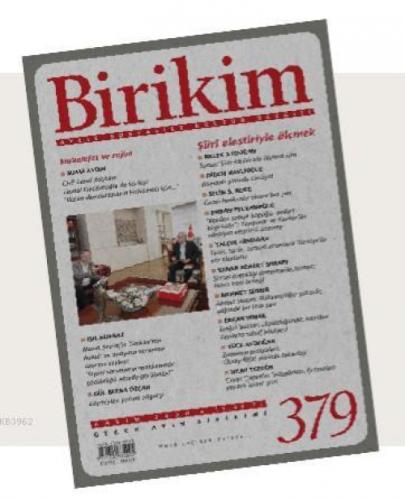 Birikim Dergisi 379. Sayı  Frontansicht 1