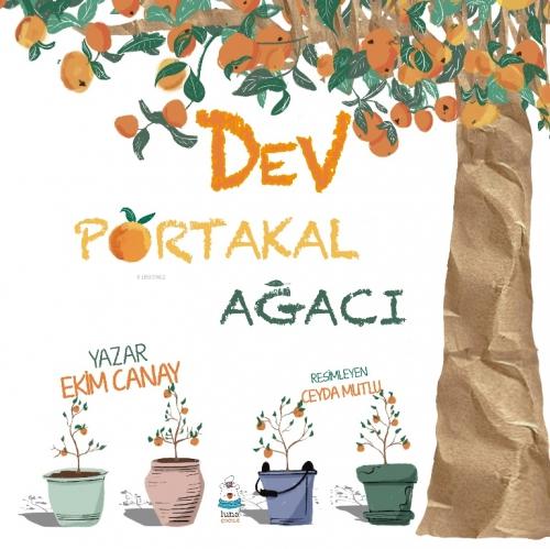 Dev Portakal Ağacı  Frontansicht 1