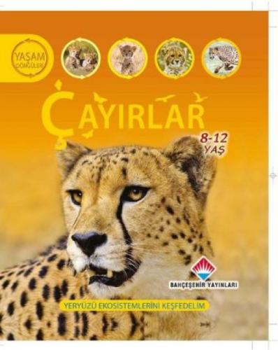 Yaşam Döngüsü: Çayırlar  Frontansicht 1