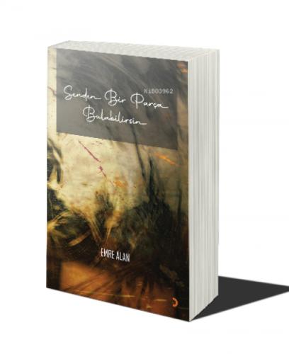 Senden Bir Parça Bulabilirsin  Frontansicht 1