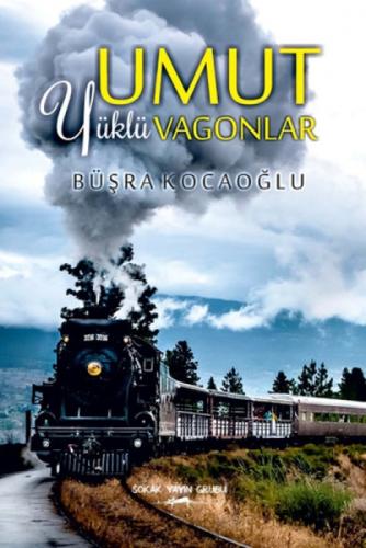 Umut Yüklü Vagonlar  Frontansicht 1