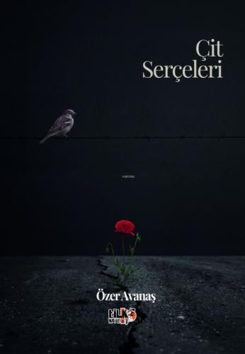Çit Serçeleri  Frontansicht 1