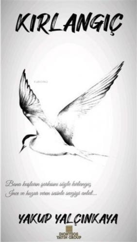 Kırlangıç  Frontansicht 1