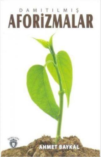 Damıtılmış  Frontansicht 1