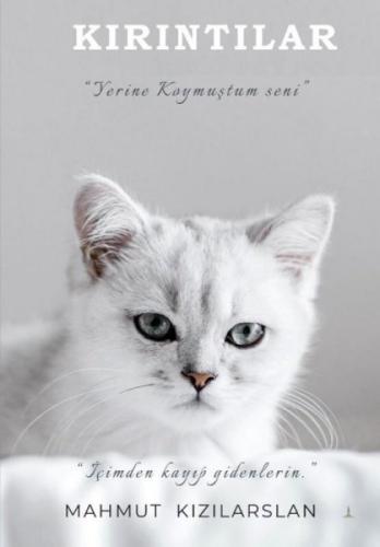 Kırıntılar  Frontansicht 1