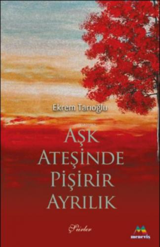 Aşk Ateşinde Pişirir Ayrılık  Frontansicht 1