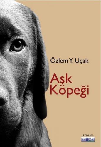 Aşk Köpeği  Frontansicht 1