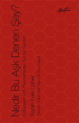 Nedir Bu Aşk Denen Şey?;Psikanalitik Çift Psikoterapileri İçin Bir Rehber  Frontansicht 1