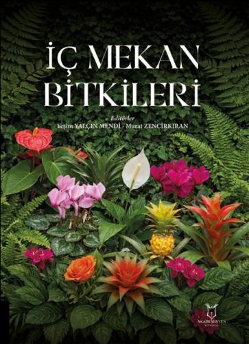 İç Mekan Bitkileri  Frontansicht 1