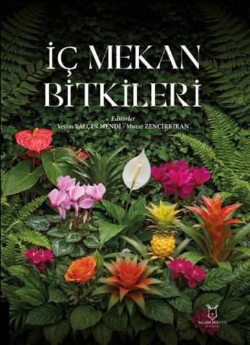 İç Mekan Bitkileri  Frontansicht 1
