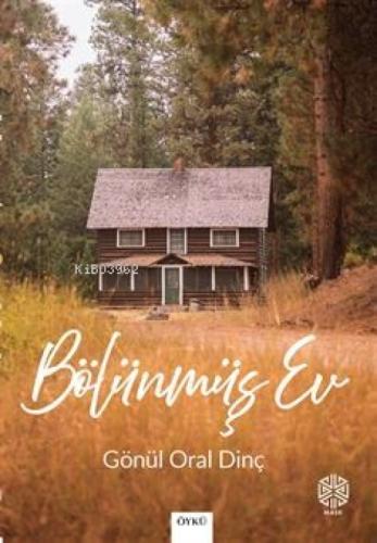 Bölünmüş Ev  Frontansicht 1