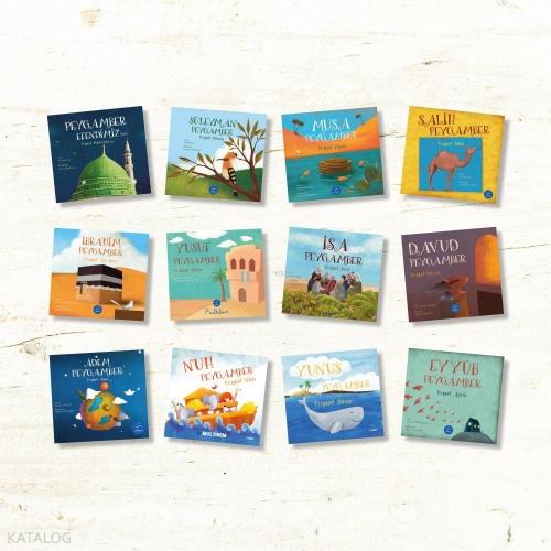 Siyer Serisi - 2  Frontansicht 1