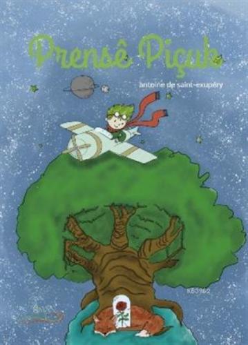 Prense Piçuk ile Küçük Prens (Türkçe-Kürtçe)  Frontansicht 1