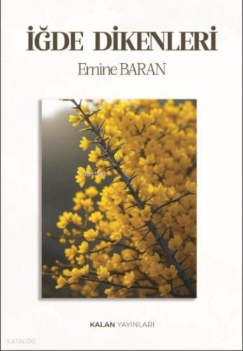 İğde Dikenleri  Frontansicht 1
