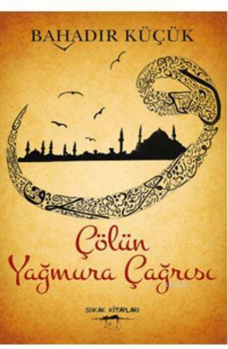 Çölün Yağmura Çağrısı  Frontansicht 1