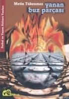 Yanan Buz Parçası  Frontansicht 1