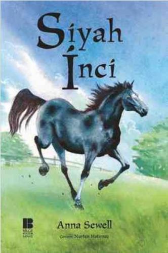 Siyah İnci  Frontansicht 1