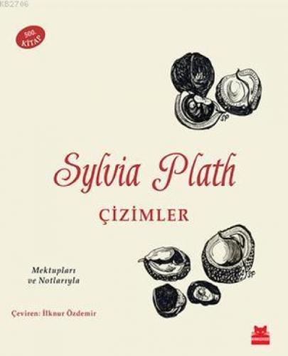 Çizimler  Frontansicht 1