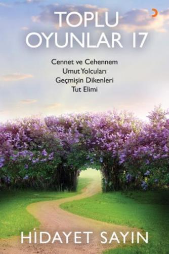 Toplu Oyunlar 17  Frontansicht 1