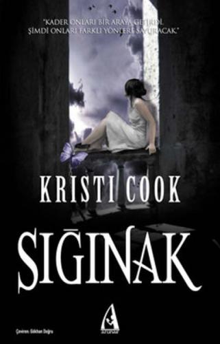 Sığınak  Frontansicht 1