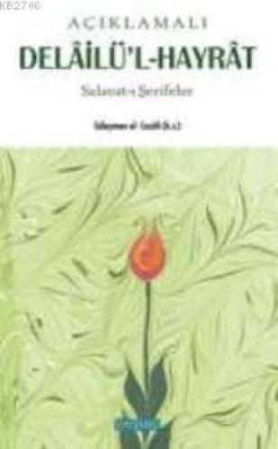 Açıklamalı  Frontansicht 1